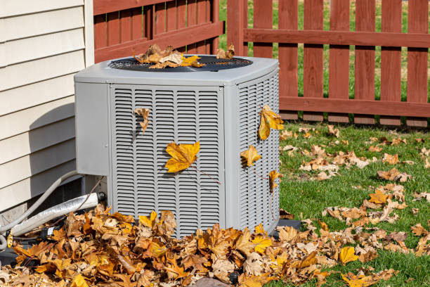 Best HVAC Repair Near Me  in Annandale, MN